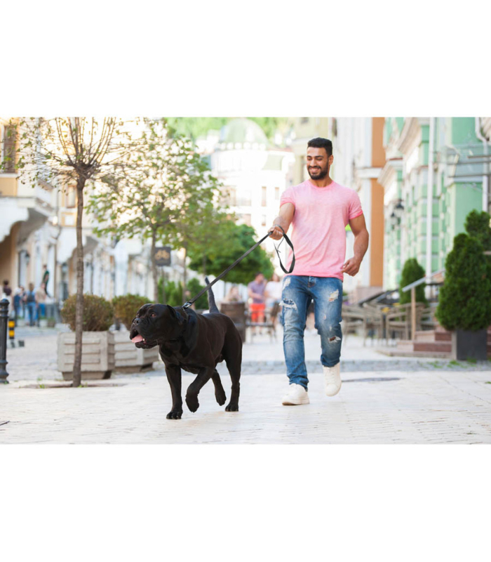 Надміцний регульований нашийник для собак EVOLUTOR