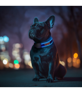 Нашийник для собак з підсвічуванням WAUDOG LED 2