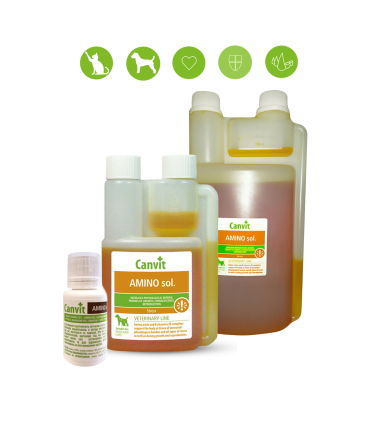 Комплекс вітамінів В, амінокислот, глюкози та солей Canvit AMINO Sol.