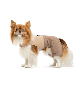 Шлея-костюм для собак Pet Fashion "Darcy" бежева, унісекс PR 441631