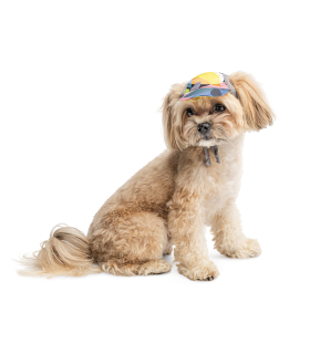 Кепка для собак Pet Fashion "Tony" з кольоровим принтом PR 442102