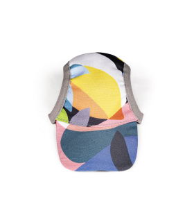 Кепка для собак Pet Fashion "Tony" з кольоровим принтом PR 442102 2