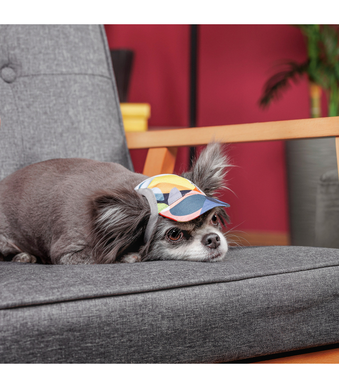 Кепка для собак Pet Fashion "Tony" з кольоровим принтом PR 442096