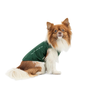 Борцівка для собак Pet Fashion "Kale" унісекс PR 441747