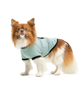 Футболка для собак Pet Fashion "Oscar" бавовняний трикотаж, рібана, блакитна PR441402