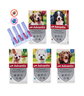 Краплі для собак від бліх, кліщів, комарів та мух Адвантікс®