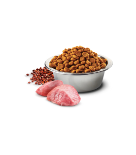 Дієтичний сухий корм для собак дрібних порід при розладах травлення Farmina N&D Quinoa з ягням та кіноа, 2,5 кг 2