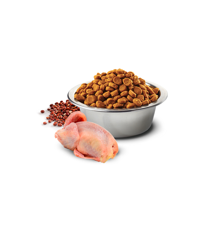 Дієтичний сухий корм для собак дрібних порід при харчовій алергії Farmina N&D Quinoa Skin&Coat з перепілкою та кіноа