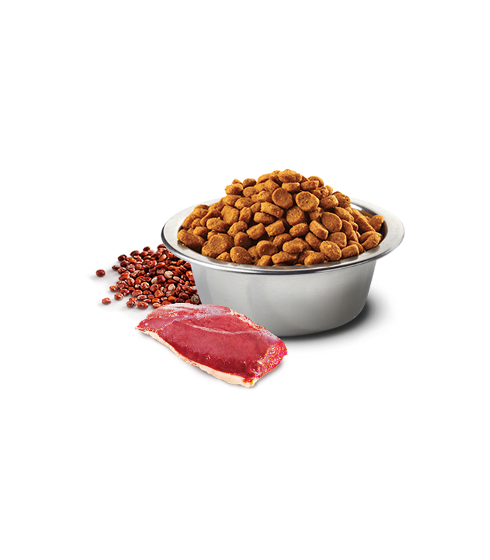 Дієтичний корм для стерилізованих собак малих порід Farmina N&D Quinoa NEUTERED з качкою та кіноа