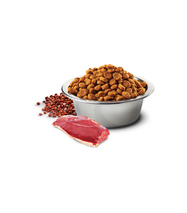 Дієтичний корм для стерилізованих собак малих порід Farmina N&D Quinoa NEUTERED з качкою та кіноа