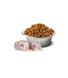 Сухий корм для дорослих собак малих порід  з білою шерстю Farmina N&D White з сібасом 2