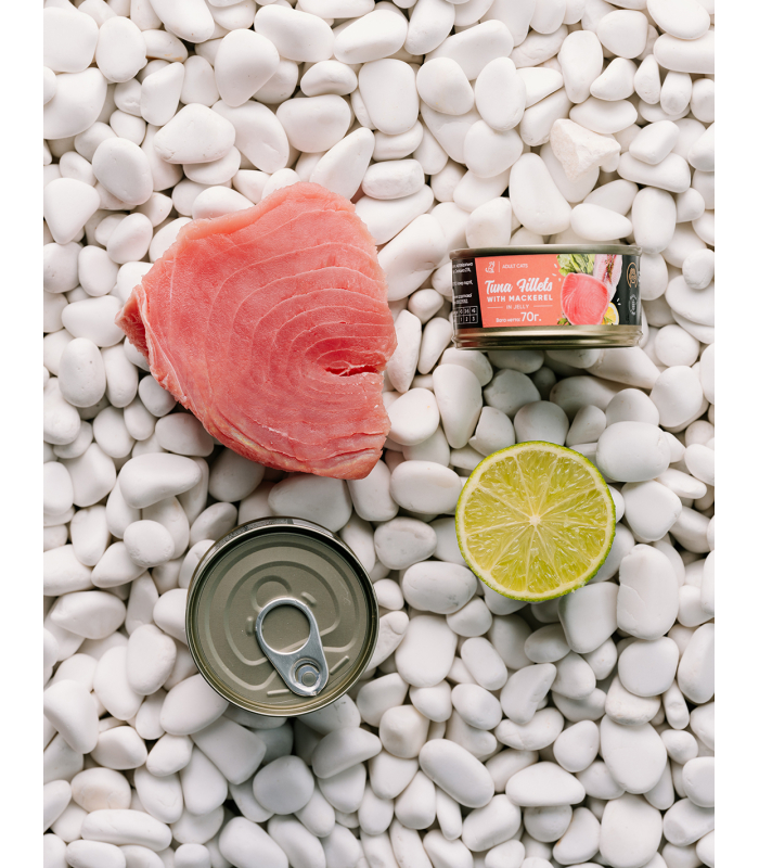 Корм вологий Savory Tuna Fillets rich in Mackerel in Jelly for Adult Cats філе тунця з макреллю в желе для дорослих котів, 70 г