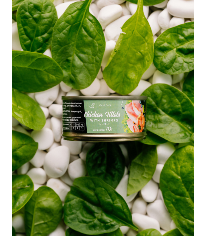 Вологий корм для котів Savory Chicken Fillets rich in Shrimp in Jelly філе курки з креветками в желе, 70 г