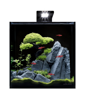 Акваріумний набір з чорною задньою стінкою AquaLighter BlackCube 30 літрів