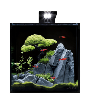 Акваріумний набір з чорною задньою стінкою AquaLighter BlackCube 30 літрів