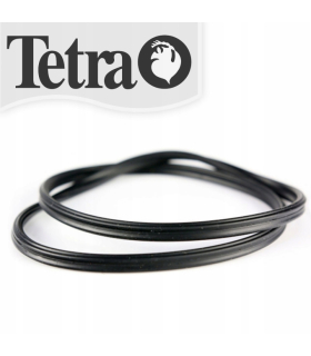 Прокладка головки блоку циліндрів Tetra EX1500 Plus, кільце ущільнювача 2