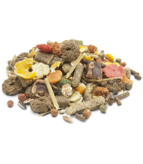 Корм для кроликів Versele-Laga Crispy Muesli Rabbits 2