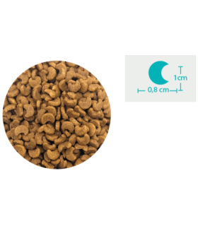 Корм для стерилізованих котів BONACIBO STERILISED Salmon з лососем, 2 кг 2