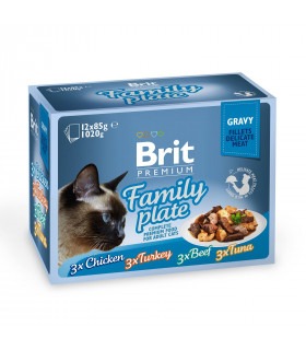 Вологий корм для котів Brit Premium Cat Family Plate Gravy pouches 1020 г (асорті з 4 смаків «Сімейна тарілка» в соусі) Brit Pre