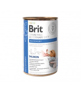 Корм Brit VetDiets Recovery консервований для собак та котів під час одужання відновлення після операції Рекавері 400г Brit VetD