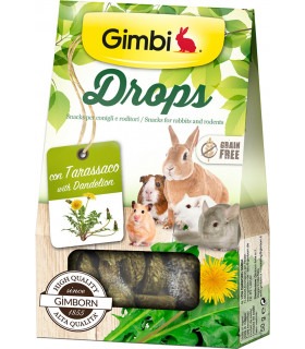Ласощі GimBi для гризунів дропси з кульбабою 50г GimBi - 1 - 4002064201863