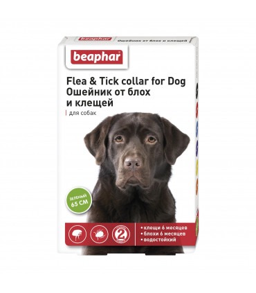 Ошейник а/б BEAPHAR  д/собак 65см салатовый Beaphar - 1 - 8711231176168