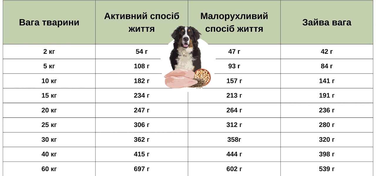 Інструкція по годуванню Orygo Senior
