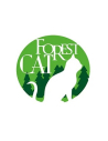 Forest Cat