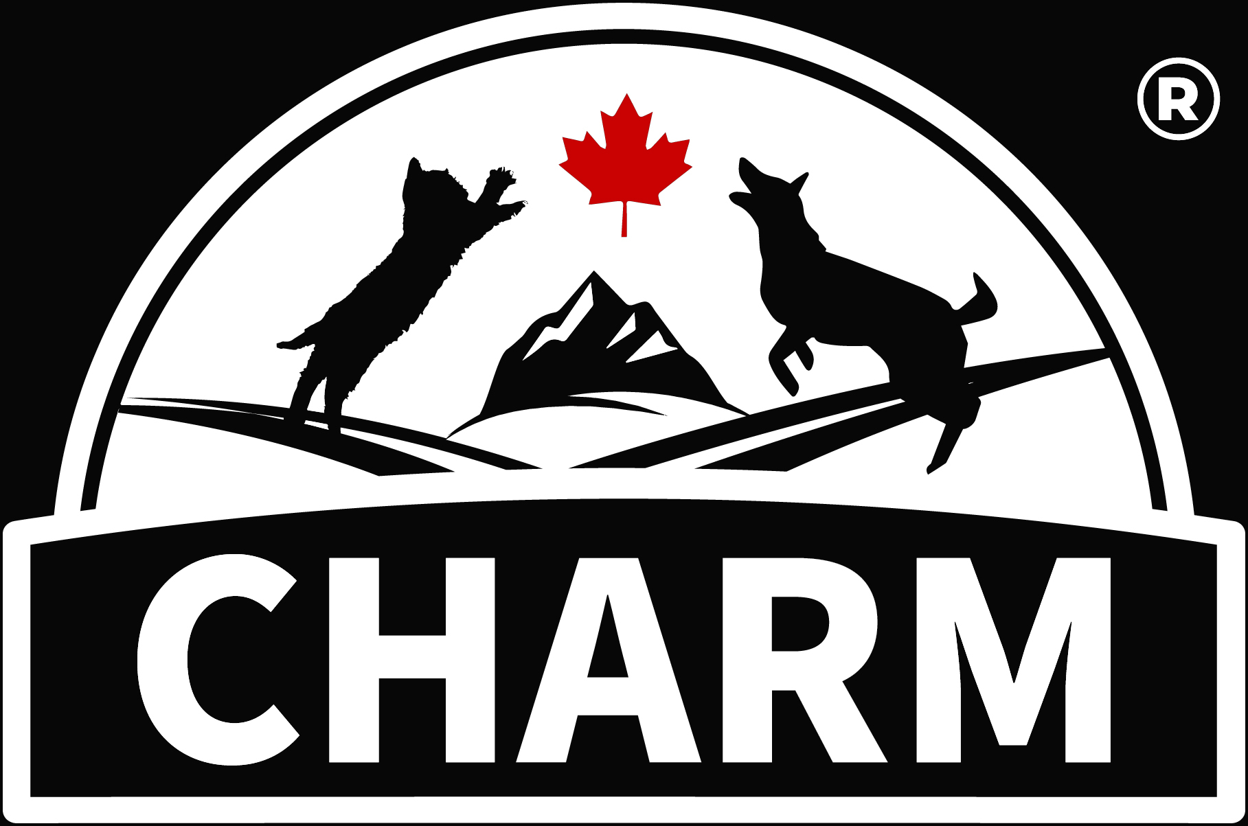 CHARM Виробник