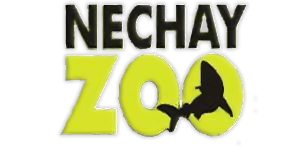 Nechay  ZOO Виробник